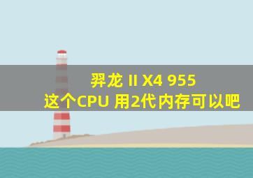 羿龙 II X4 955 这个CPU 用2代内存可以吧