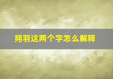 翙羽这两个字怎么解释