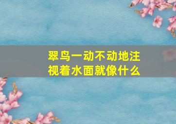 翠鸟一动不动地注视着水面就像什么