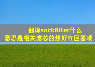 翻译sockfilter什么意思是相关滤芯的。想好在回答哦