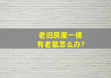 老旧房屋一楼有老鼠怎么办?