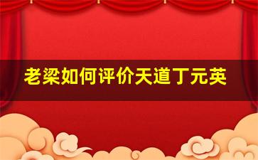 老梁如何评价《天道》丁元英(