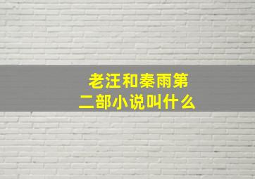 老汪和秦雨第二部小说叫什么