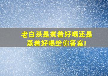 老白茶是煮着好喝,还是蒸着好喝给你答案! 