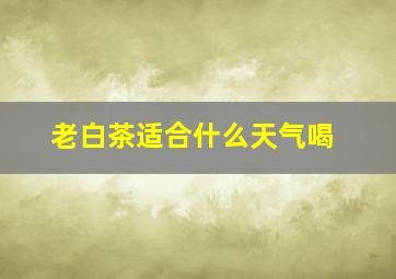 老白茶适合什么天气喝