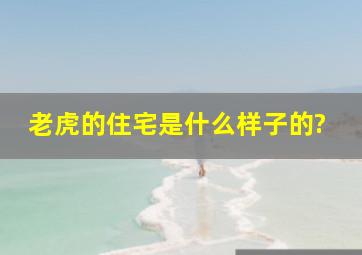 老虎的住宅是什么样子的?