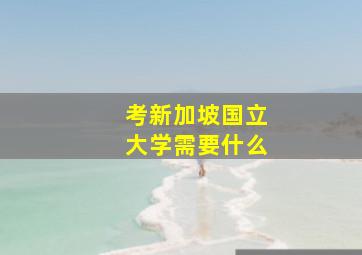 考新加坡国立大学需要什么