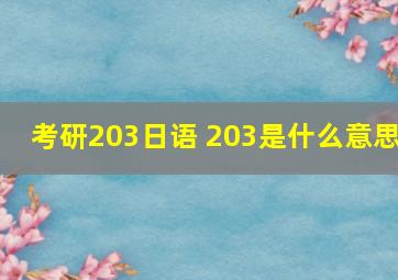 考研203日语 203是什么意思
