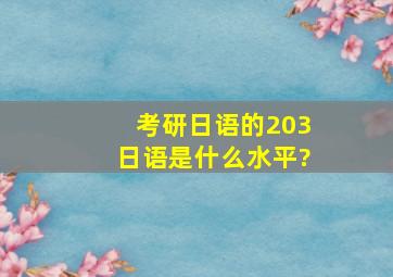 考研日语的203日语是什么水平?