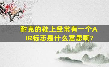 耐克的鞋上经常有一个AIR标志,是什么意思啊?