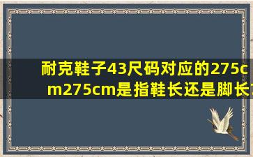 耐克鞋子43尺码对应的275cm,275cm是指鞋长还是脚长?