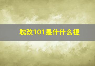 耽改101是什什么梗