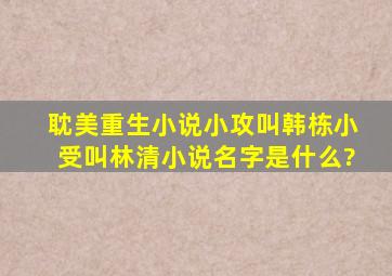 耽美重生小说,小攻叫韩栋小受叫林清,小说名字是什么?