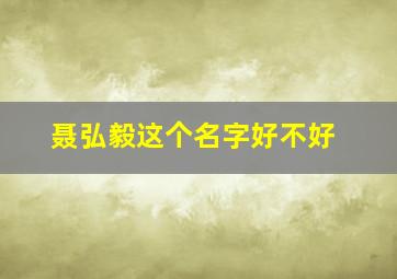 聂弘毅这个名字好不好