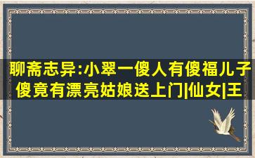 聊斋志异:小翠(一)傻人有傻福,儿子傻,竟有漂亮姑娘送上门|仙女|王太常...