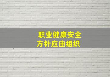 职业健康安全方针应由组织( )