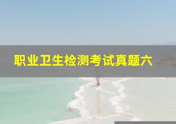 职业卫生检测考试真题六 