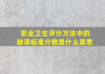 职业卫生评分方法中的缺项标准分数是什么意思