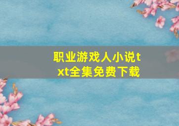 职业游戏人小说txt全集免费下载