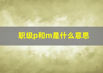 职级p和m是什么意思(