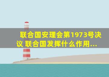 联合国安理会第1973号决议 联合国发挥什么作用...