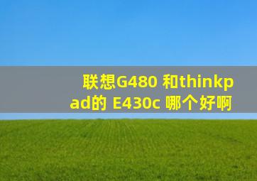 联想G480 和thinkpad的 E430c 哪个好啊