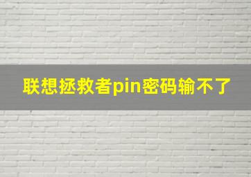 联想拯救者pin密码输不了(