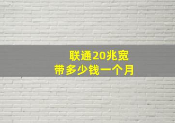 联通20兆宽带多少钱一个月