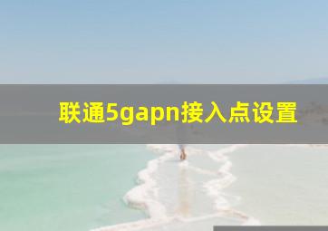 联通5gapn接入点设置