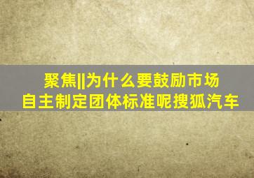 聚焦||为什么要鼓励市场自主制定团体标准呢搜狐汽车