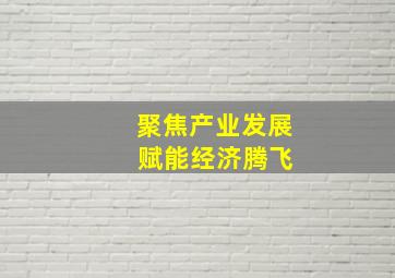 聚焦产业发展 赋能经济腾飞