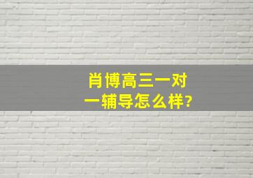 肖博高三一对一辅导怎么样?