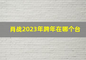 肖战2023年跨年在哪个台