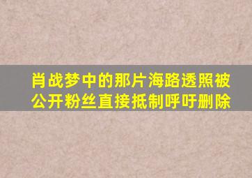 肖战《梦中的那片海》路透照被公开,粉丝直接抵制,呼吁删除