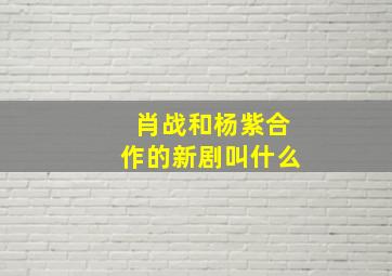 肖战和杨紫合作的新剧叫什么(