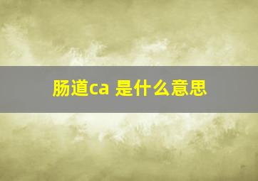 肠道ca 是什么意思