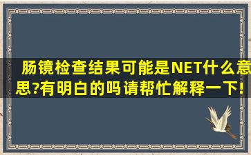 肠镜检查结果可能是NET,什么意思?有明白的吗,请帮忙解释一下!谢谢