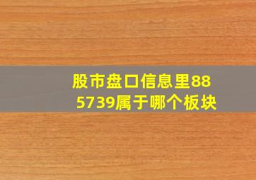 股市盘口信息里885739属于哪个板块