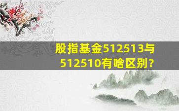 股指基金512513与512510有啥区别?