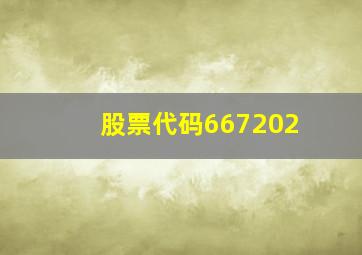 股票代码667202