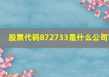 股票代码872733是什么公司?