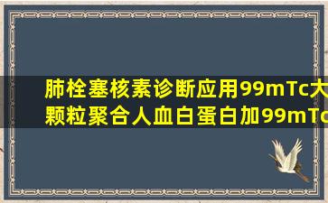 肺栓塞核素诊断应用99mTc大颗粒聚合人血白蛋白(加99mTcMAA)的...