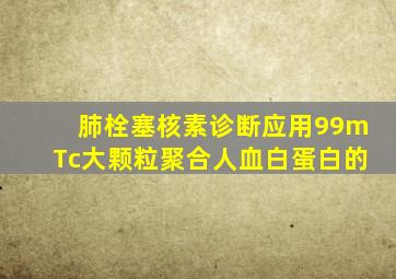 肺栓塞核素诊断应用99mTc大颗粒聚合人血白蛋白的