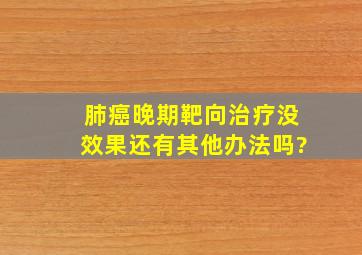 肺癌晚期靶向治疗没效果还有其他办法吗?