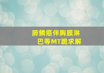 肺鳞癌伴胸膜淋巴等MT,跪求解