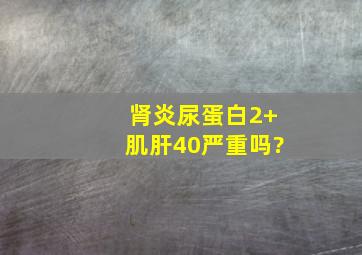 肾炎尿蛋白2+肌肝40严重吗?