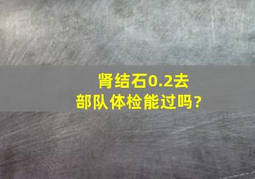 肾结石0.2去部队体检能过吗?