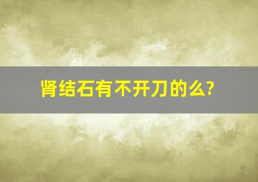 肾结石有不开刀的么?