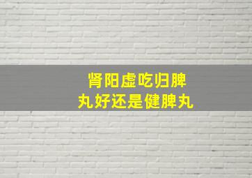 肾阳虚吃归脾丸好还是健脾丸