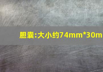 胆囊:大小约74mm*30mm